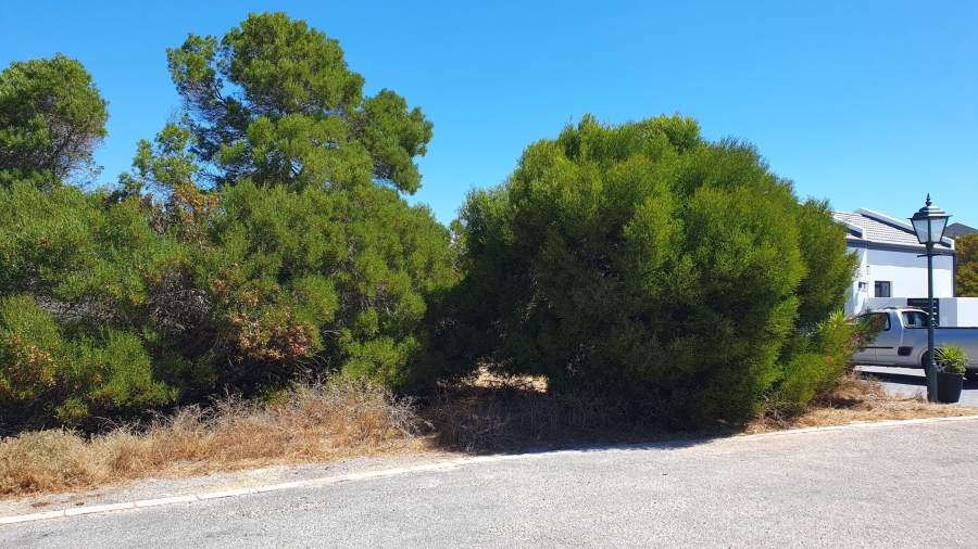 0 Bedroom Property for Sale in Shelley Point Western Cape